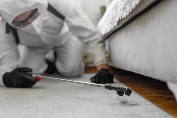 Professional Bed Bug Control technician working in Blountsville, AL