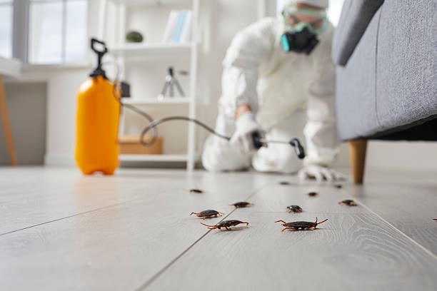 Trusted Termite Control service in Blountsville, AL - Nex Pest Control