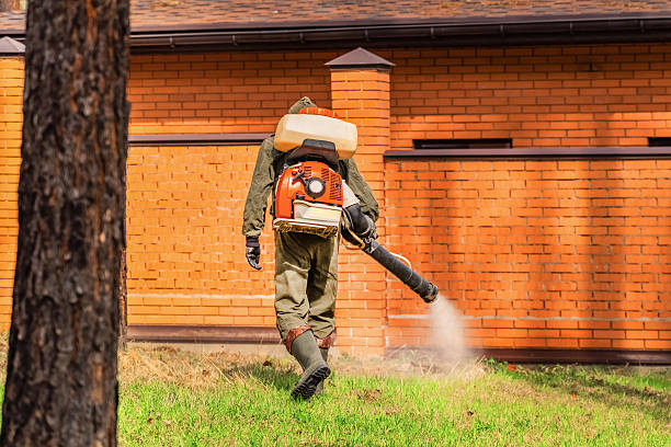 Trusted Bed Bug Control service in Blountsville, AL - Nex Pest Control